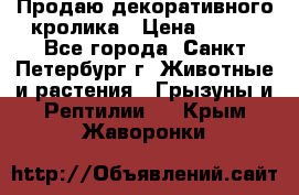 Продаю декоративного кролика › Цена ­ 500 - Все города, Санкт-Петербург г. Животные и растения » Грызуны и Рептилии   . Крым,Жаворонки